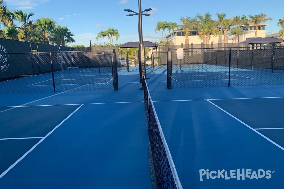 Photo of Pickleball at Lotus Racquet Club